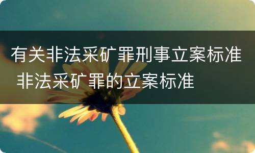 有关非法采矿罪刑事立案标准 非法采矿罪的立案标准