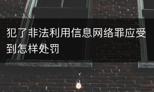 犯了非法利用信息网络罪应受到怎样处罚