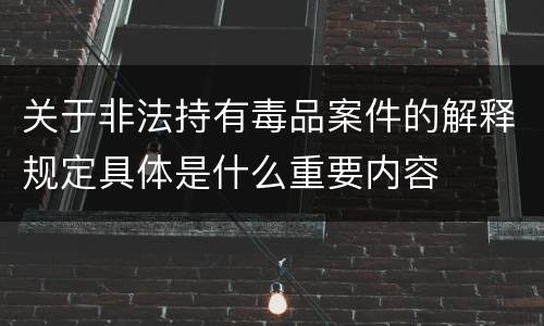关于非法持有毒品案件的解释规定具体是什么重要内容