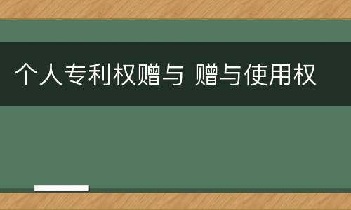 个人专利权赠与 赠与使用权