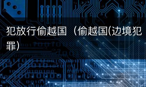 犯放行偷越国（偷越国(边境犯罪）