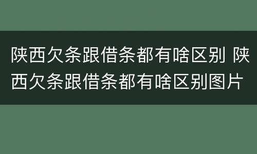 陕西欠条跟借条都有啥区别 陕西欠条跟借条都有啥区别图片