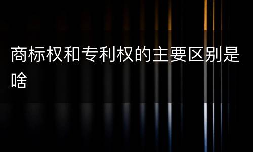 商标权和专利权的主要区别是啥