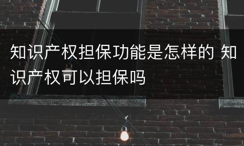 知识产权担保功能是怎样的 知识产权可以担保吗
