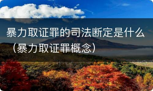 暴力取证罪的司法断定是什么（暴力取证罪概念）