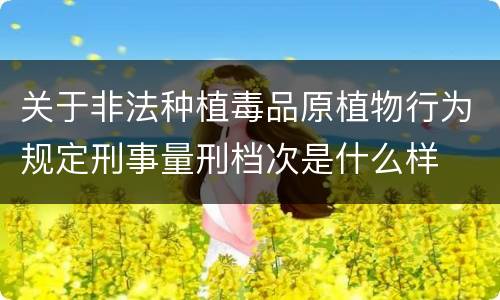关于非法种植毒品原植物行为规定刑事量刑档次是什么样