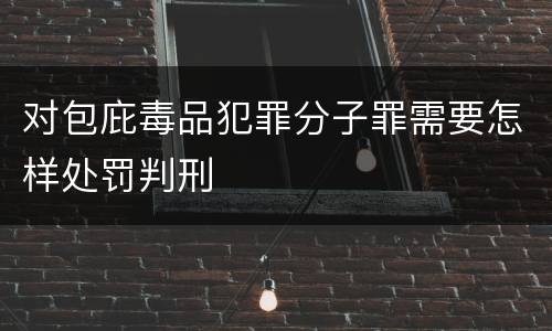 对包庇毒品犯罪分子罪需要怎样处罚判刑