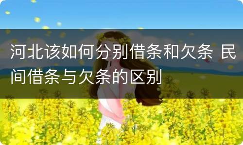 河北该如何分别借条和欠条 民间借条与欠条的区别
