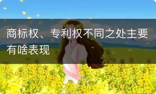 商标权、专利权不同之处主要有啥表现