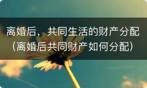 离婚后，共同生活的财产分配（离婚后共同财产如何分配）