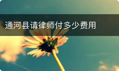 通河县请律师付多少费用