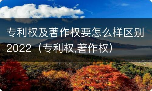 专利权及著作权要怎么样区别2022（专利权,著作权）