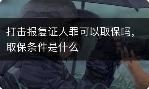 打击报复证人罪可以取保吗，取保条件是什么