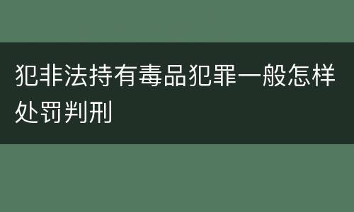 犯非法持有毒品犯罪一般怎样处罚判刑