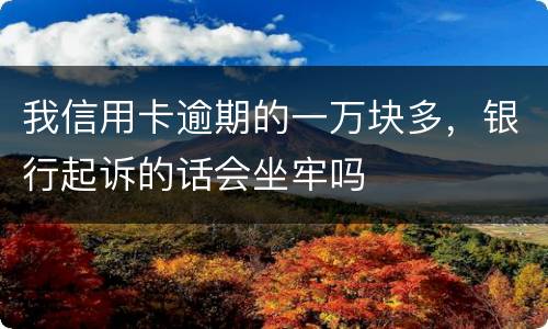 我信用卡逾期的一万块多，银行起诉的话会坐牢吗