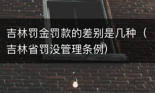 吉林罚金罚款的差别是几种（吉林省罚没管理条例）