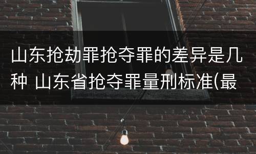 山东抢劫罪抢夺罪的差异是几种 山东省抢夺罪量刑标准(最新2018