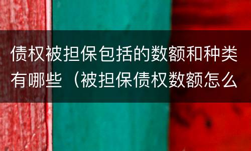 债权被担保包括的数额和种类有哪些（被担保债权数额怎么填）