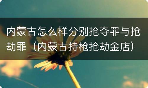 内蒙古怎么样分别抢夺罪与抢劫罪（内蒙古持枪抢劫金店）