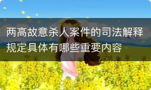 两高故意杀人案件的司法解释规定具体有哪些重要内容