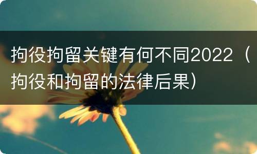 拘役拘留关键有何不同2022（拘役和拘留的法律后果）