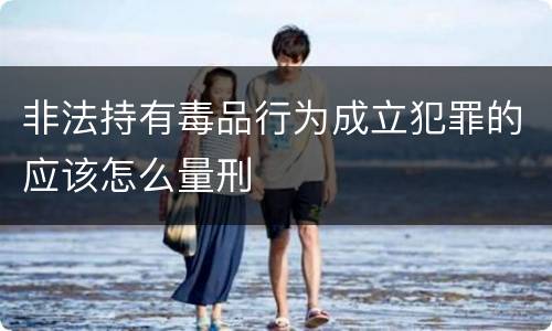 非法持有毒品行为成立犯罪的应该怎么量刑