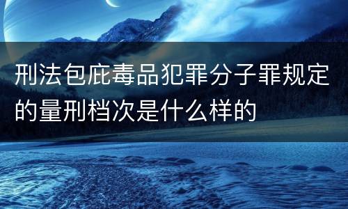 刑法包庇毒品犯罪分子罪规定的量刑档次是什么样的