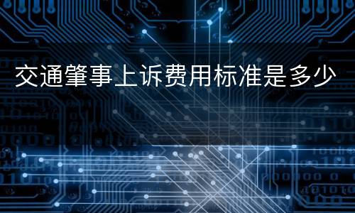 交通肇事上诉费用标准是多少