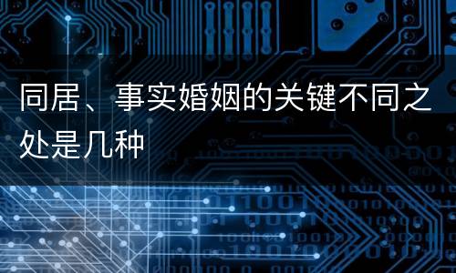 同居、事实婚姻的关键不同之处是几种