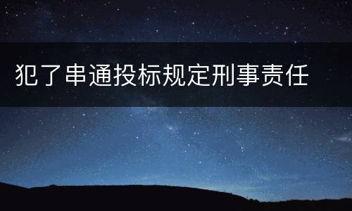 犯了串通投标规定刑事责任