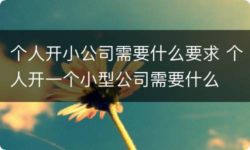 个人开小公司需要什么要求 个人开一个小型公司需要什么