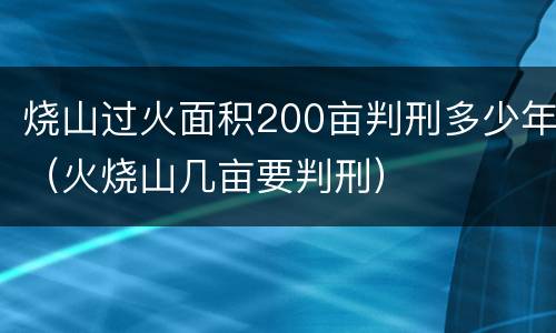 烧山过火面积200亩判刑多少年（火烧山几亩要判刑）