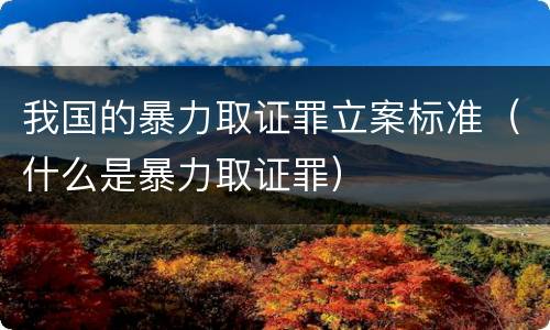 我国的暴力取证罪立案标准（什么是暴力取证罪）