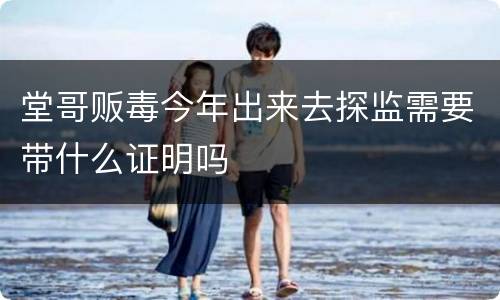 堂哥贩毒今年出来去探监需要带什么证明吗