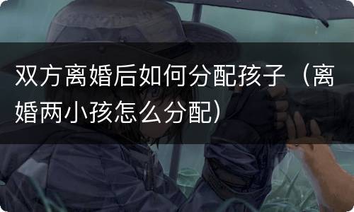 双方离婚后如何分配孩子（离婚两小孩怎么分配）