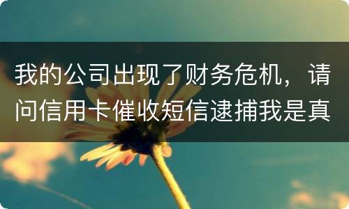 我的公司出现了财务危机，请问信用卡催收短信逮捕我是真的吗