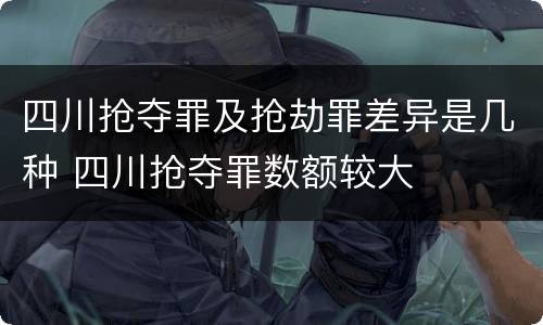 四川抢夺罪及抢劫罪差异是几种 四川抢夺罪数额较大