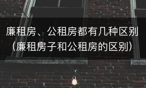 廉租房、公租房都有几种区别（廉租房子和公租房的区别）