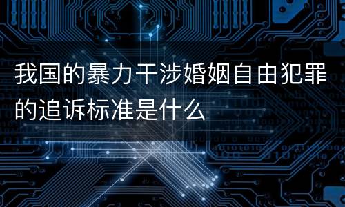 我国的暴力干涉婚姻自由犯罪的追诉标准是什么