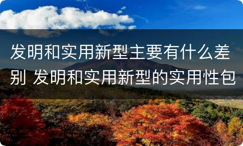 发明和实用新型主要有什么差别 发明和实用新型的实用性包括