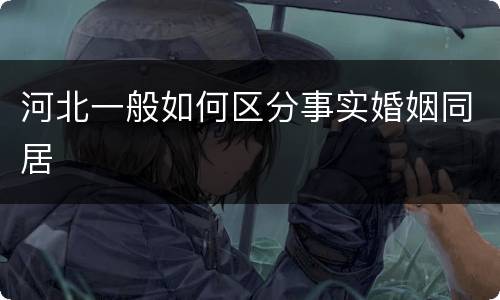 河北一般如何区分事实婚姻同居