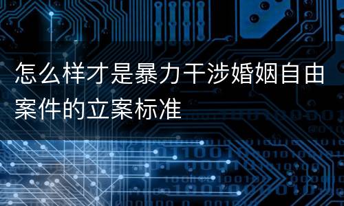 怎么样才是暴力干涉婚姻自由案件的立案标准