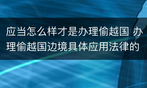 应当怎么样才是办理偷越国 办理偷越国边境具体应用法律的解释