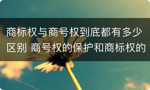 商标权与商号权到底都有多少区别 商号权的保护和商标权的保护一样是全国性范围的