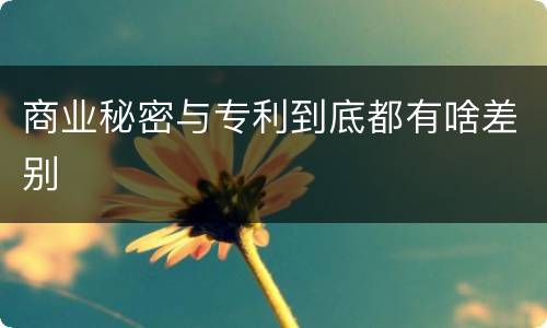 商业秘密与专利到底都有啥差别