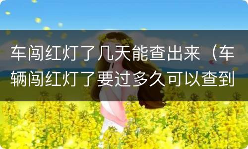 车闯红灯了几天能查出来（车辆闯红灯了要过多久可以查到）
