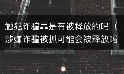 触犯诈骗罪是有被释放的吗（涉嫌诈骗被抓可能会被释放吗）