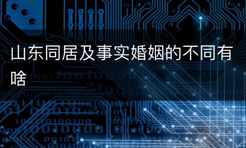 山东同居及事实婚姻的不同有啥