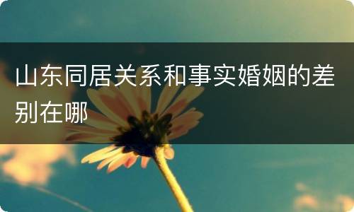 山东同居关系和事实婚姻的差别在哪