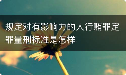 规定对有影响力的人行贿罪定罪量刑标准是怎样